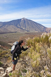 Spain, Canary Islands, Tenerife, Los Roques de Garcia, Mount Teide, Teide National Park, Female hiker smelling Retama del Teide, Cytisus supranubius - UMF000678