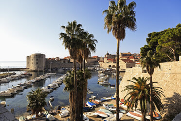 Kroatien, Dubrovnik, Blick auf Altstadt und Hafen - MS003023