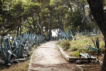 Kroatien, Hvar, Bank im Park bei der Promenade von Selnica - MS003031