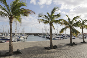 Spain, Lanzarote, Puerto Calero, Marina with boats and palms - JATF000452