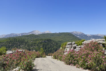 Türkei, Provinz Antalya, Manavgat, Koepruelue Canyon National Park, Taurusgebirge, Bergstraße und Oleander - SIEF004668