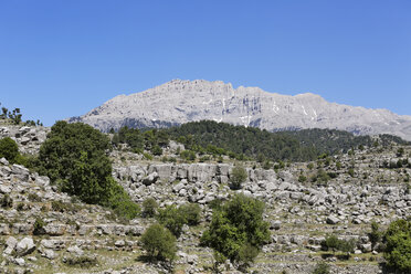 Türkei, Provinz Antalya, Manavgat, Koepruelue Canyon National Park, Taurusgebirge, Altinkaya - SIEF004672