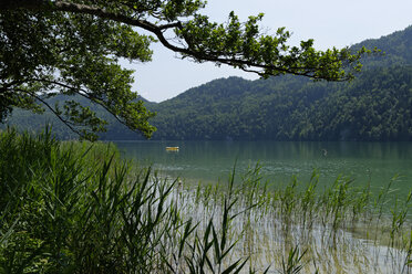 Deutschland, Bayern, Weissensee bei Füssen - LB000416