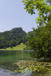 Germany, Bavaria, Bad Fauenbach, Lake Alatsee - LB000415