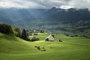 Schweiz, Kanton St. Gallen, Schweizer Alpen - ELF000645