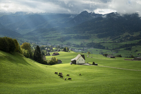 Schweiz, Kanton St. Gallen, Schweizer Alpen - ELF000645