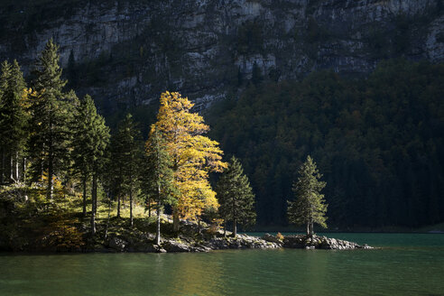 Schweiz, Kanton Appenzell Innerrhoden, Seealpsee im Herbst - ELF000638