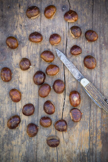 Esskastanien (Castanea sativa) und Taschenmesser auf Holztisch - LVF000349