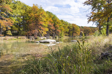 USA, Texas, Concan, Texas Hill Country Landschaft im Herbst, Zypressen am Frio River im Garner State Park - ABAF001080
