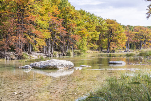 USA, Texas, Concan, Texas Hill Country Landschaft im Herbst, Zypressen am Frio River im Garner State Park - ABAF001082