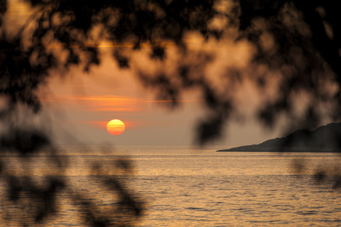 Croatia, Vrsar, Sunset over sea with trees stock photo