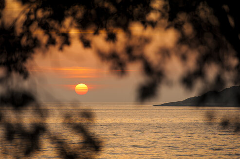 Kroatien, Vrsar, Sonnenuntergang über dem Meer mit Bäumen - KJF000260