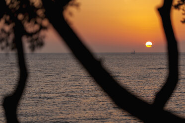 Croatia, Vrsar, Sunset over sea with trees and boat - KJ000256