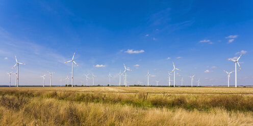 Germany, Saxony-Anhalt, Magdeburg Boerde, Stubble field and wind farm in background - WDF002107