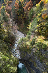 Deutschland, Bayern, Hohenschangau, Schloss Neuschwanstein im Herbst - EL000654