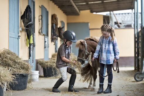 Germany, NRW, Korchenbroich, Boy and Girl at riding stable with mini shetland pony - CLPF000012