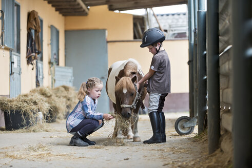 Germany, NRW, Korchenbroich, Boy and Girl at riding stable with mini shetland pony - CLPF000011