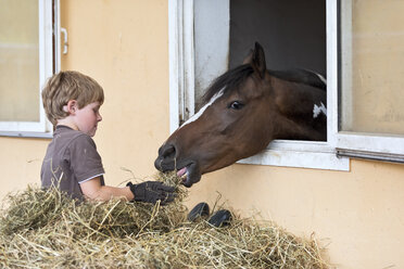Deutschland, NRW, Korchenbroich, Junge füttert Pferd im Stall - CLPF000003