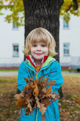 Little boy holding autumn leaves - MJF000418