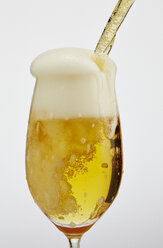 Das Bier wird in ein Glas gegossen - AKF000266