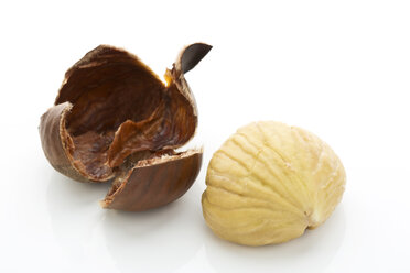 Peeled spanish chestnut (Castanea sativa) on white underground - MAEF007498