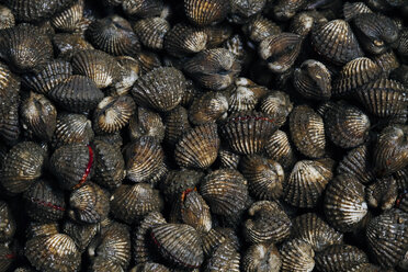 Thailand, Ratchaburi, Damnoen Saduak Floating Market, Flussmuscheln - MBEF000906