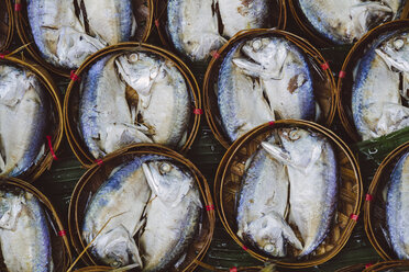 Thailand, Ratchaburi, Damnoen Saduak Floating Market, poached fish - MBEF000909