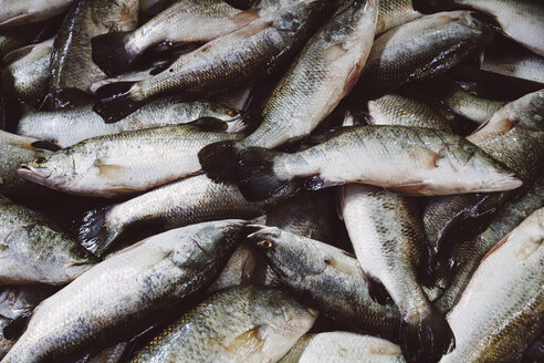 Thailand, Ratchaburi, Damnoen Saduak Schwimmender Markt, frischer Fisch - MBEF000910