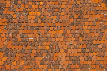 Part of a roof with beaver tail tiles - WGF000099