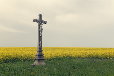 Czechia, Onsov, crucifix in front of a rape field stock photo