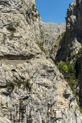 Spanien, Asturien, Nationalpark Picos de Europa, Ruta del Cares, Weg von Poncebos nach Cain - LAF000288