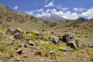 Türkei, Ostanatolien, Provinz Agri, Nationalpark Berg Ararat - ES000830