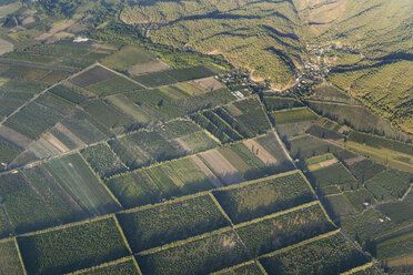 Turkey, Mugla, Ortaca, Field landscape, aerial photo - SIEF004770