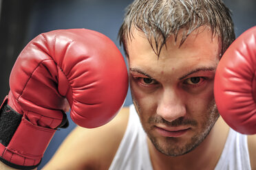 Boxer with red boxing gloves, portrait - PAF000071
