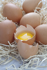 Frische Eier auf Holzwolle - CSF020393