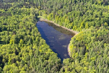 Deutschland, Baden-Wurttenberg, Luftaufnahme eines Weihers im Wald zwischen Hegne und Dettingen - SH001172