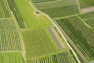 Deutschland, baden-Wurttenberg, Luftaufnahme Obstplantagen bei Kressbronn - SH001118