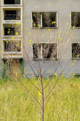 Germany, Brandenburg, Wustermark, Olympic village 1936, facade of decaying concrete tower block - VI000068