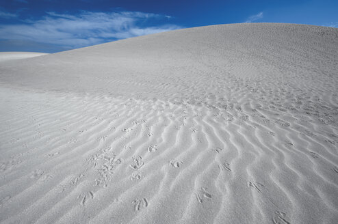 Spanien, Fuerteventura, Corralejo, Parque Natural de Corralejo, Blick auf Sanddüne - VI000167