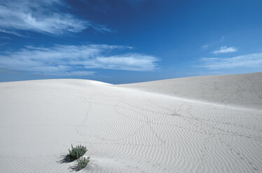 Spain, Fuerteventura, Corralejo, Parque Natural de Corralejo, view of sand dune - VI000168