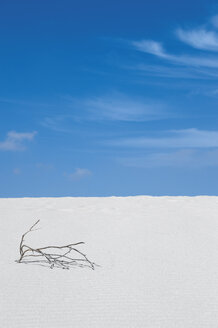 Spanien, Fuerteventura, Corralejo, Parque Natural de Corralejo, Totholz an Sanddüne - VI000184