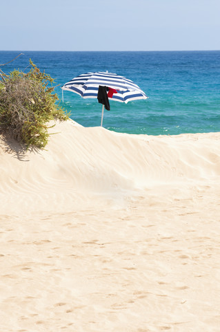 Spain, Fuerteventura, Corralejo, Parque Natural de Corralejo, beach umbrella on the beach stock photo