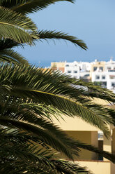 Spanien, Fuerteventura, Morro Jable, Appartementanlage - VI000099