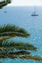 Spanien, Fuerteventura, Morro Jable, Blick auf das Meer - VI000101