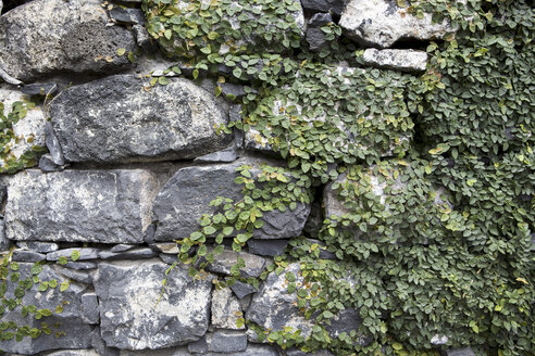 Portugal, Funchal, Nahaufnahme einer alten Steinmauer - VTF000050