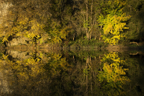 Deutschland, Baden Württemberg, Naturpark Obere Donau, Wasserspiegelung im Herbst - ELF000673