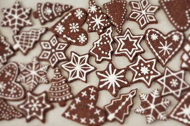 Gingerbread decorated with sugar icing - CZF000130