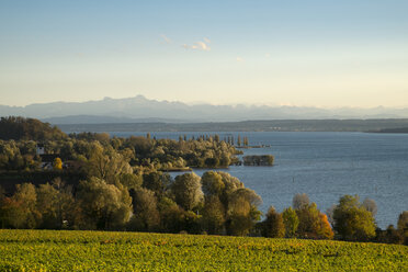 Deutschland, Baden Württemberg, Bodenseekreis, Bodensee und Schweizer Alpen - ELF000675