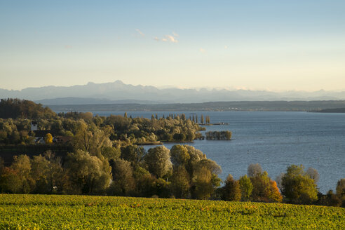 Germany, Baden-Wuerttemberg, Lake Constance district, Lake Constance and Swiss Alps - ELF000675