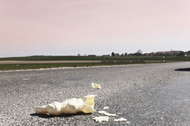 Easter Bunny killed by car - MSF003153